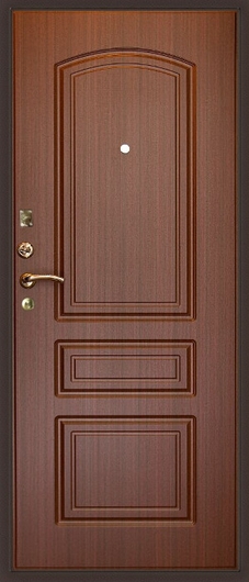 Дверь с порошковым напылением и МДФ ДП-38